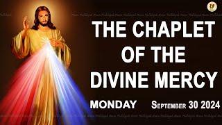 Chaplet of the Divine Mercy I Monday September 30 2024 I Divine Mercy Prayer I 12.00 PM