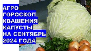 Агрогороскоп квашения капусты в сентябре 2024 Agrohoroscope for pickling cabbage in September 2024