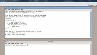 How to Export the Path Permanently in Linux : Useful Computer Tips