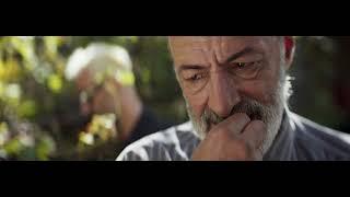 Alexander Shulgin - Roots. Georgia (Official Video. Music from the Motion Picture Wine Reflections)