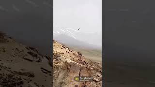 #aryana saeed bamyan #trip #viral #shorts
