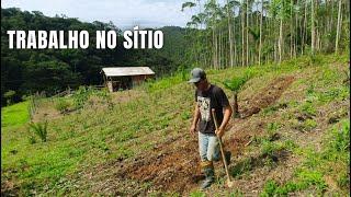 MUITO TRABALHO NO SÍTIO: SEMEANDO NO PASTO E LIMPEZA DA CAPINEIRA DA VACA