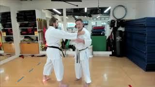 Simple Gekisai Ashi barai Shuto uchi Bunkai