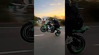 Jannu rider 1.5km Kawasaki zx10r wheelie short | zx10r rider 2024 | bike stunt zx10r|#shorts#stunt