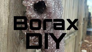 D.I.Y.  BORAX CRYSTAL SKULL