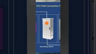 DCS Architecture: Field Connection Simplified!