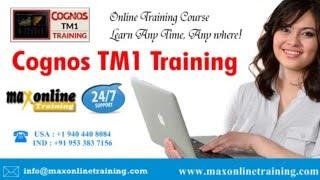 Introduction to Cognos TM1 Server  Training with placement assistance!!!