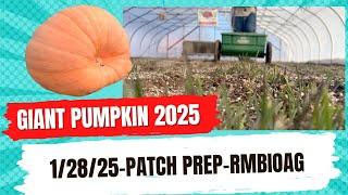 Giant Pumpkin Patch Prep 2025 - Microbe Manna!