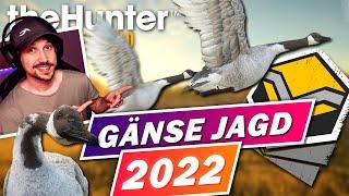 Geld verdienen 2022 mit Gänsen! the Hunter Call of the Wild Deutsch Tipps