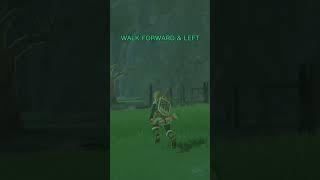 BotW Boomerang Exploit 🪃 Breath of the Wild Trick  #breathofthewild #shorts