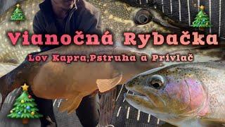 Vianočný Špeciál/Vianočná rybačka/Lov Pstruha/Lov Šťúk/Lov Kapra/ #beastcarpeu #christmasfishing