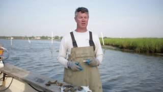 Pleasure House Oysters Waterman’s Tour