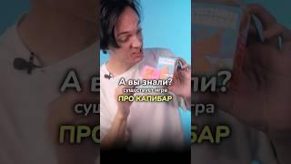 А вы знали? Что существует игра про КАПИБАР