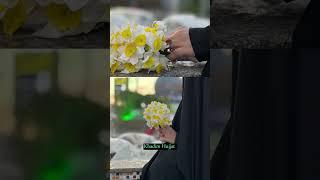Khadima-e-Hujjat  Islamic Teachings