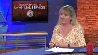 LA Currents: Brenda Barnette LA Animal Services (Full Interview)