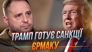 У Трампа заговорили про ЄРМАКА: переговори можуть зайти в глухий кут, якщо не… / НЕСВІТАЙЛОВ