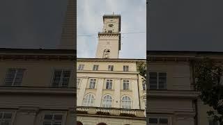 Львов Площадь Рынок Львів Lviv Lwow