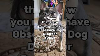 Do you have ODD? #music #dog #funny #frenchie #bulldog #memes #frenchbulldog