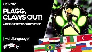 MIRACULOUS | MULTILANGUAGE: Claws Out! — Cat Noir's Transformation [2021 BIGGEST COMPILATION]