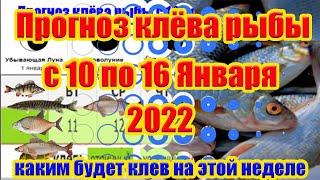 Прогноз клева рыбы на неделю с 10 по 16 Января 2022 Календарь рыболова на Январь Лунный календарь