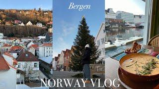 bergen vlog 7hrs oslo-bergen, norway’s best rail journey, citywalk, bryggen  NORWAY VLOG 002