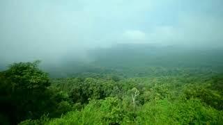 documentary on Beauty Of Koyna wildlife sanctuary