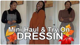 Dressin Haul & Try On| #Dressinstyle