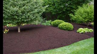 The Ultimate Guide to Mulching: Why, How, and When