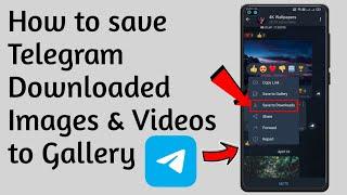 How to save telegram downloaded images & videos to gallery easy