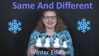 Same and Different Activity: Winter Edition!