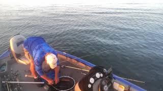Striper Fishing & Showing How To Read The Fish Finder