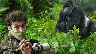 JOURNEY TO THE MOUNTAIN GORILLAS; UGANDA!