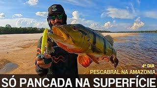 Peacock Bass Fishing in the Amazon Ney Pesca day 3