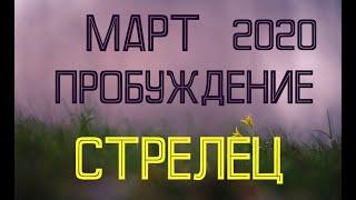 СТРЕЛЕЦ. МАРТ. Таро-прогноз на март 2020 для Стрельцов.