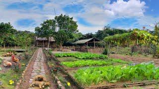 Renovating the garden, planting, harvesting, cooking. Taking care of animals. Alone in the mountains