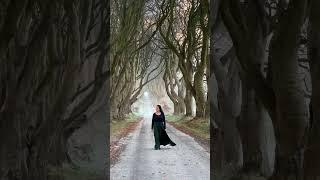 Winter is Coming to the Game of Thrones Dark Hedges in Northern Ireland