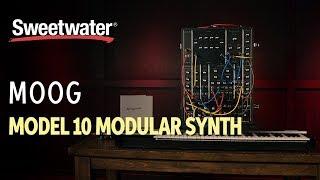 Moog Model 10 Modular Synth Deep Dive — Daniel Fisher