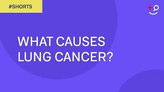 What Causes Lung Cancer? #Shorts