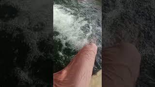 Tubewell Swimming Vlog #swim #bathing #tubewell