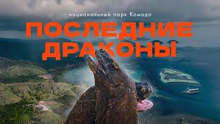 Новый год с родителями на необитаемом острове. Национальный парк Комодо в Индонезии