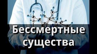 Бессмертные существа. Пётр Гаряев