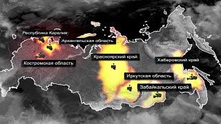 Честный Детектив - Профессия Лесовор 5. Развязка