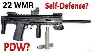 22 WMR for Self Defense?  CMR30?