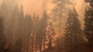 Wildfires Are Deadlier Than Ever – What Can FEMA Do?