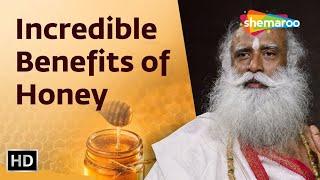 Incredible Benefits of Honey | A Yogic Superfood | Shemaroo Spiritual Life