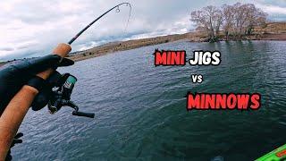 Should You Fish Mini Jigs or Minnows For Trout - Trout Fishing Tips and Techniques