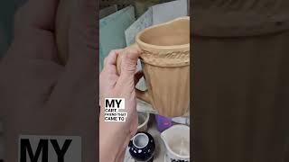 What's at the thrift store today?