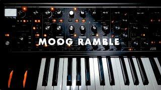 Moog Ramble. by Funkuncle.