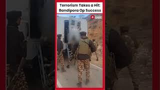 J&K Terror Attack Operation Kaitsan: One Terrorist Neutralized in Bandipora Encounter
