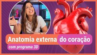 ANATOMIA EXTERNA DO CORAÇÃO! Com programa 3D